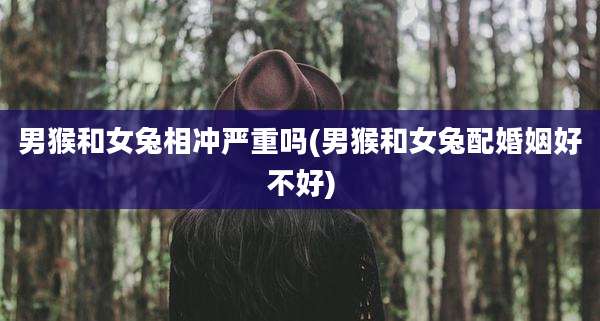 男猴和女兔相冲严重吗(男猴和女兔配婚姻好不好)