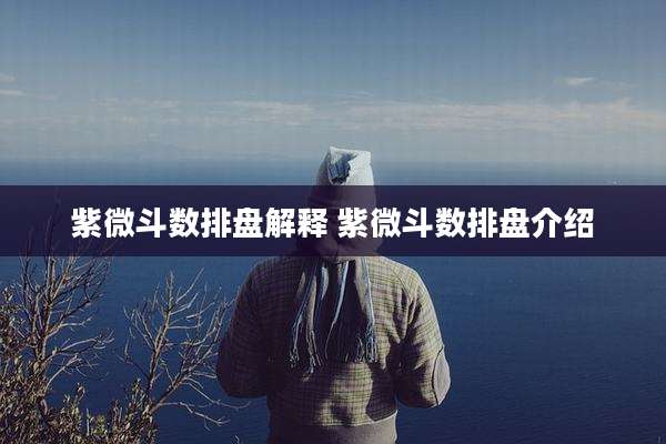 紫微斗数排盘解释 紫微斗数排盘介绍