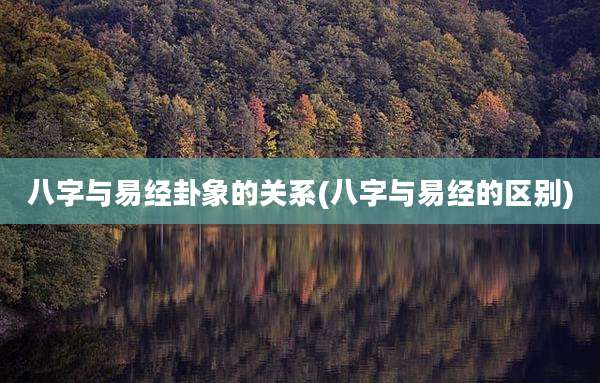 八字与易经卦象的关系(八字与易经的区别)