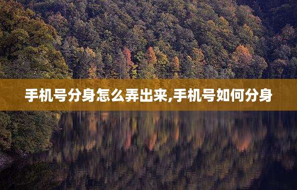手机号分身怎么弄出来,手机号如何分身