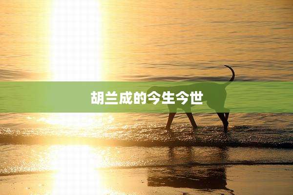 胡兰成的今生今世