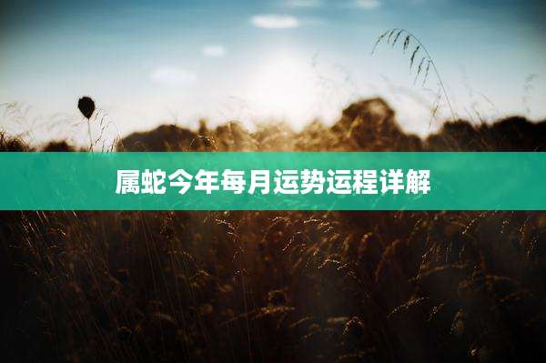 属蛇今年每月运势运程详解