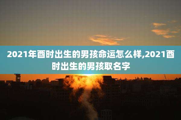 2021年酉时出生的男孩命运怎么样,2021酉时出生的男孩取名字