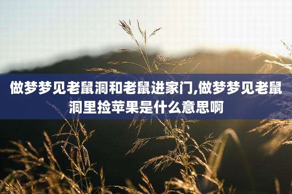 做梦梦见老鼠洞和老鼠进家门,做梦梦见老鼠洞里捡苹果是什么意思啊