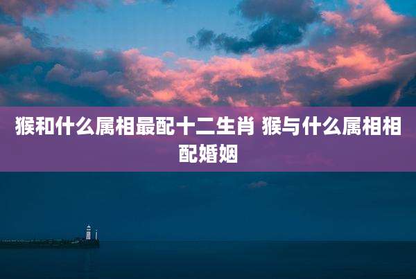 猴和什么属相最配十二生肖 猴与什么属相相配婚姻