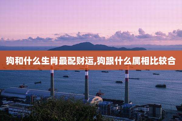 狗和什么生肖最配财运,狗跟什么属相比较合