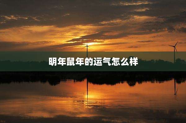 明年鼠年的运气怎么样