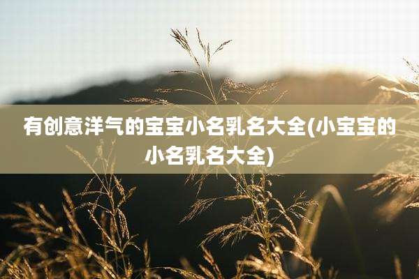 有创意洋气的宝宝小名乳名大全(小宝宝的小名乳名大全)