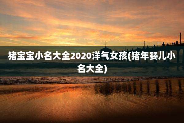 猪宝宝小名大全2020洋气女孩(猪年婴儿小名大全)