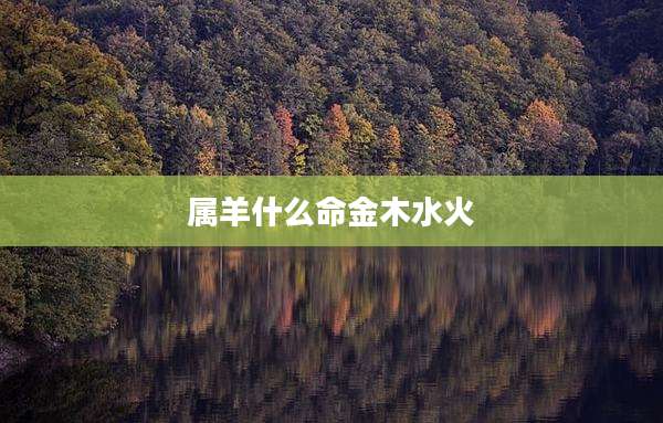 属羊什么命金木水火