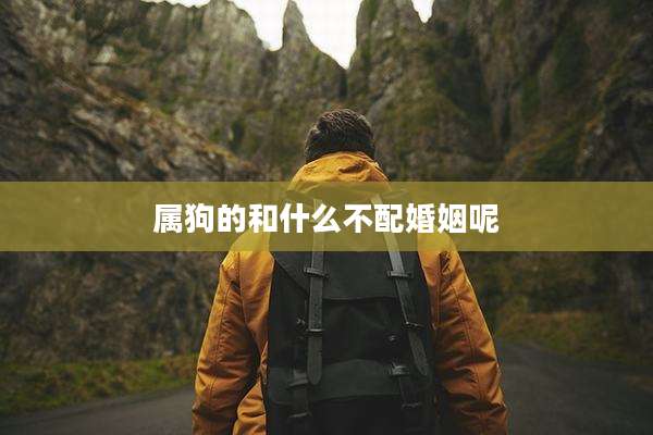 属狗的和什么不配婚姻呢