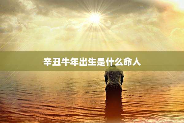 辛丑牛年出生是什么命人