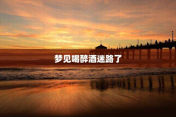 梦见喝醉酒迷路了