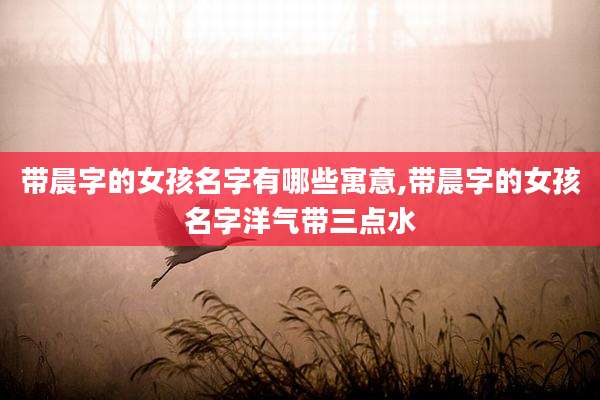 带晨字的女孩名字有哪些寓意,带晨字的女孩名字洋气带三点水