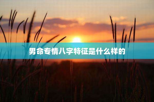 男命专情八字特征是什么样的