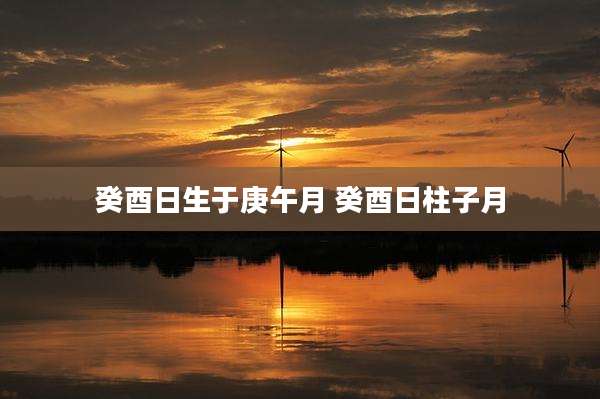 癸酉日生于庚午月 癸酉日柱子月