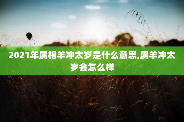 2021年属相羊冲太岁是什么意思,属羊冲太岁会怎么样