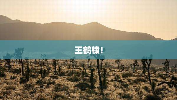 王鹤棣!