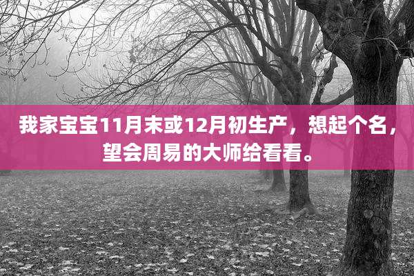 我家宝宝11月末或12月初生产,想起个名,望会周易的大师给看看。