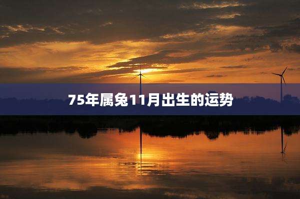 75年属兔11月出生的运势