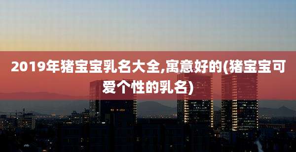 2019年猪宝宝乳名大全,寓意好的(猪宝宝可爱个性的乳名)