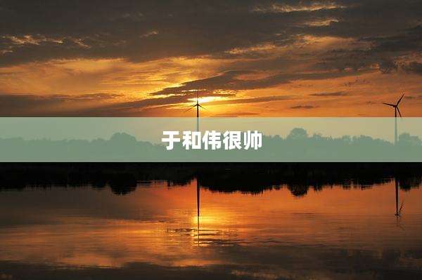 于和伟很帅