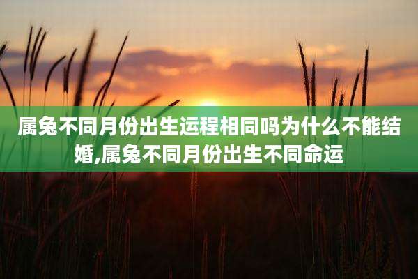 属兔不同月份出生运程相同吗为什么不能结婚,属兔不同月份出生不同命运