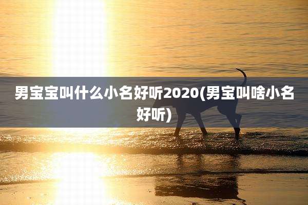 男宝宝叫什么小名好听2020(男宝叫啥小名好听)
