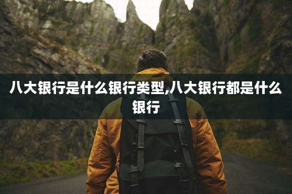 八大银行是什么银行类型,八大银行都是什么银行