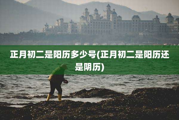 正月初二是阳历多少号(正月初二是阳历还是阴历)
