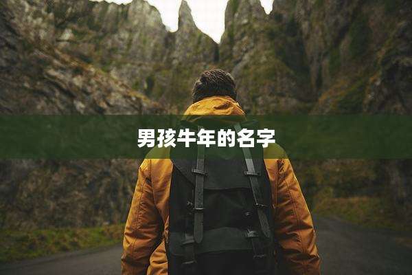 男孩牛年的名字