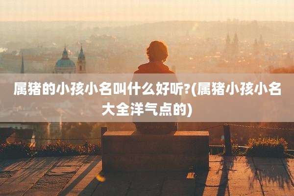 属猪的小孩小名叫什么好听?(属猪小孩小名大全洋气点的)