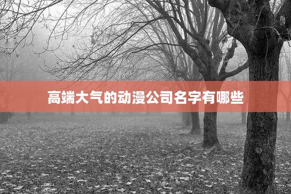 高端大气的动漫公司名字有哪些