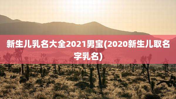 新生儿乳名大全2021男宝(2020新生儿取名字乳名)