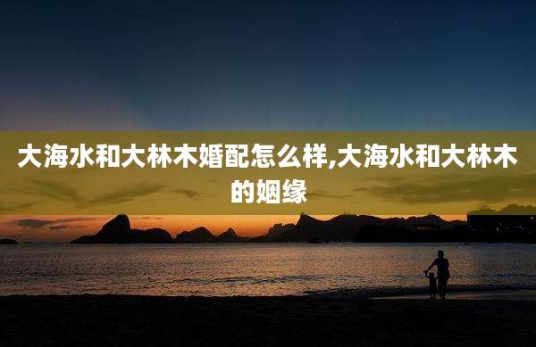 大海水和大林木婚配怎么样,大海水和大林木的姻缘