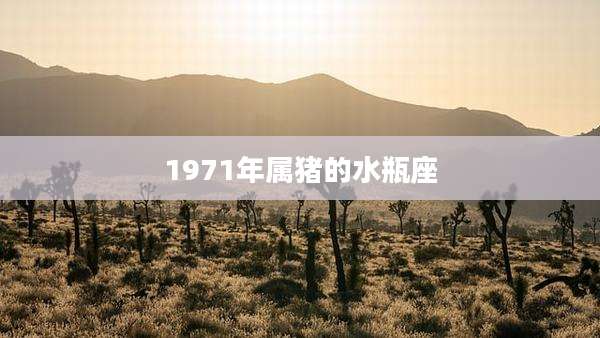 1971年属猪的水瓶座