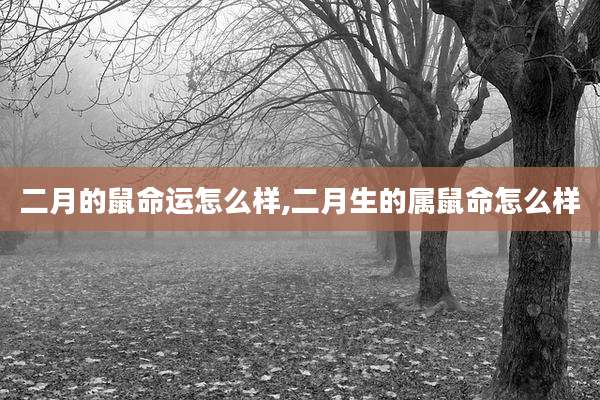 二月的鼠命运怎么样,二月生的属鼠命怎么样