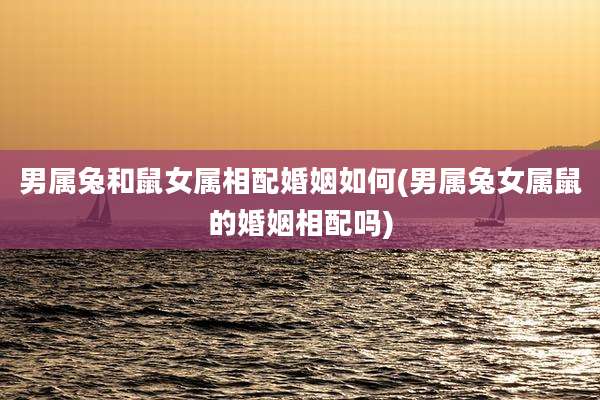 男属兔和鼠女属相配婚姻如何(男属兔女属鼠的婚姻相配吗)