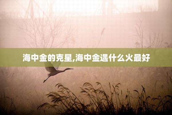 海中金的克星,海中金遇什么火最好