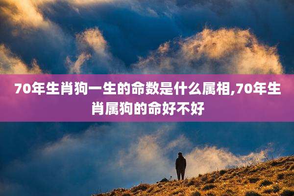 70年生肖狗一生的命数是什么属相,70年生肖属狗的命好不好