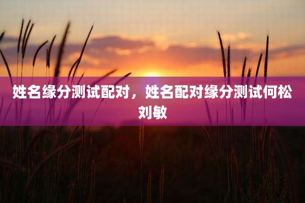 姓名缘分测试配对，姓名配对缘分测试何松刘敏