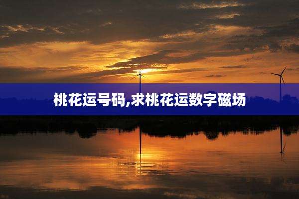 桃花运号码,求桃花运数字磁场