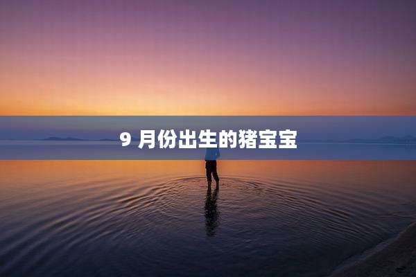 9 月份出生的猪宝宝