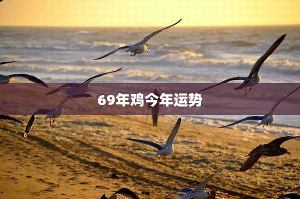 69年鸡今年运势