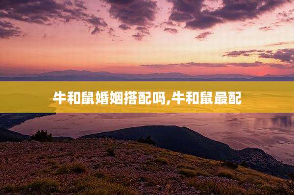 牛和鼠婚姻搭配吗,牛和鼠最配