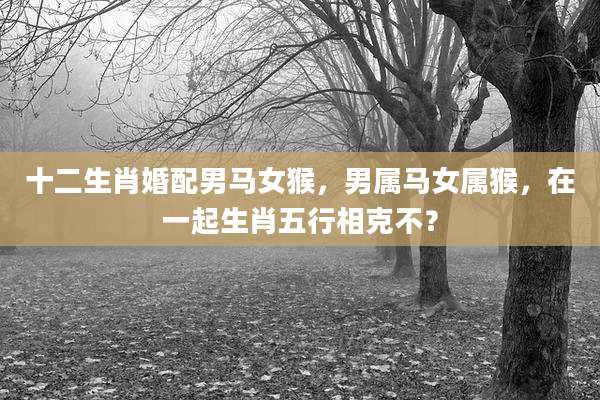十二生肖婚配男马女猴，男属马女属猴，在一起生肖五行相克不？