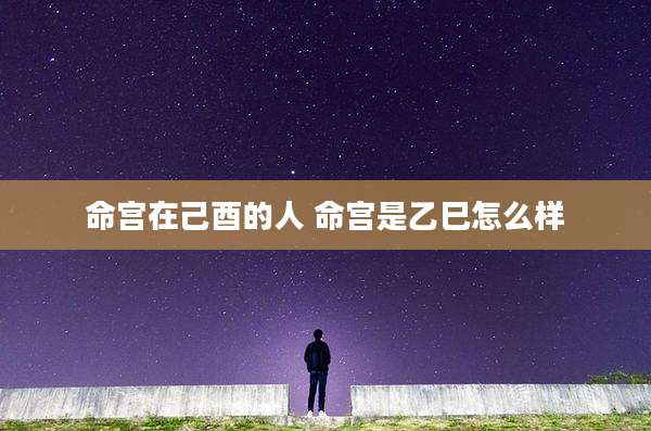 命宫在己酉的人 命宫是乙巳怎么样