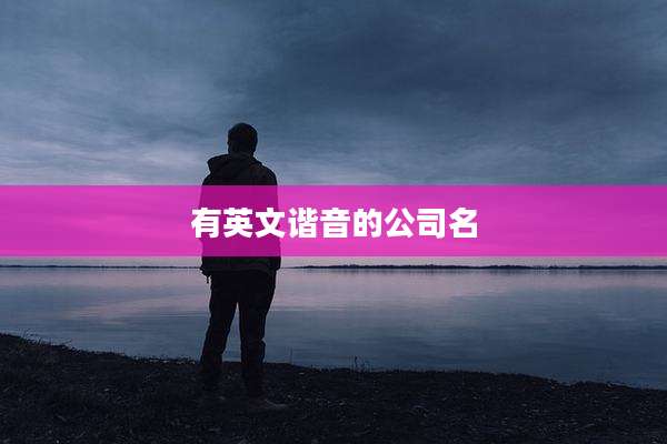 有英文谐音的公司名