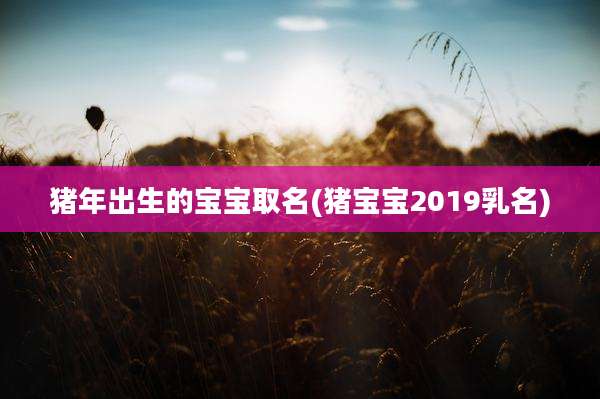 猪年出生的宝宝取名(猪宝宝2019乳名)
