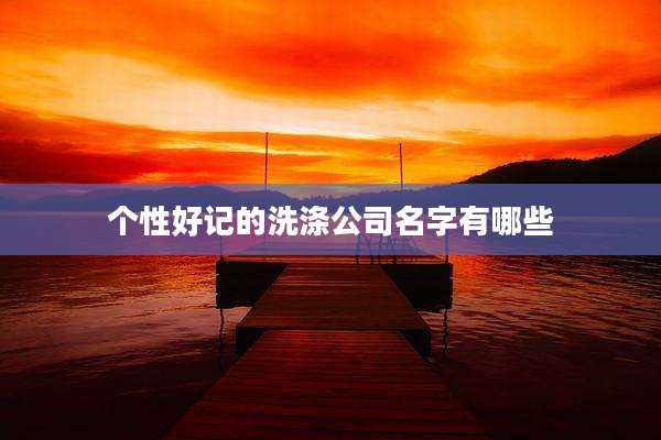 个性好记的洗涤公司名字有哪些